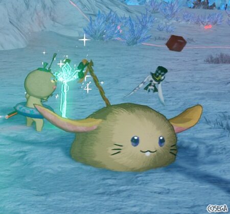 ラビだ・・・・