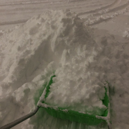 微妙な量と思ったが集めたら結構アカン量が