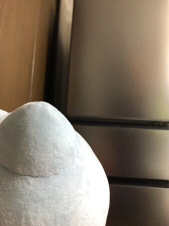 ほら、新しい冷蔵庫だよ