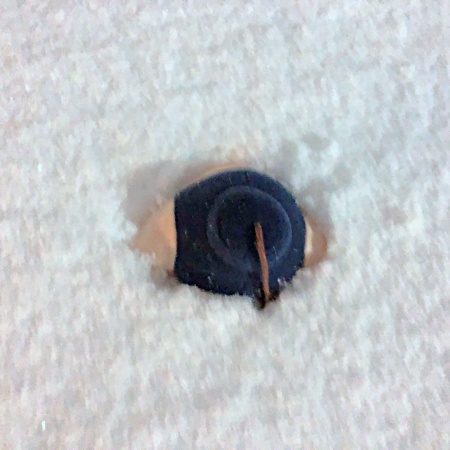 今年も始まったか・・・・・